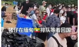 缅北被害人爆料事件视频,揭露黑暗势力下的生存困境